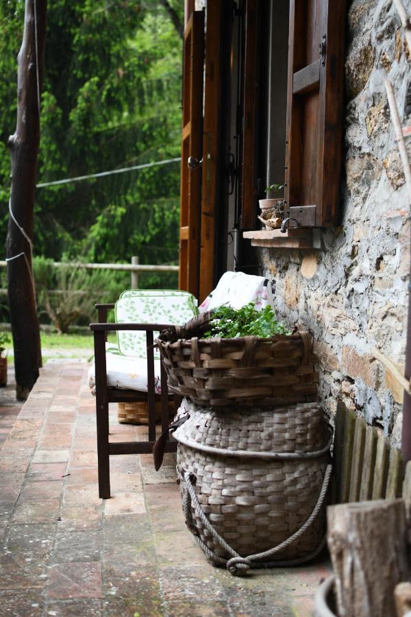 Pietra D'Acqua B&B In The Woods Buti Exterior photo